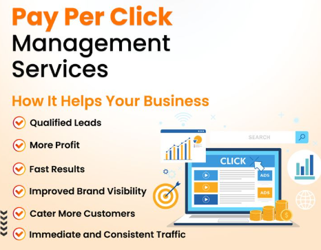 screenshot 2025 11 12 222241